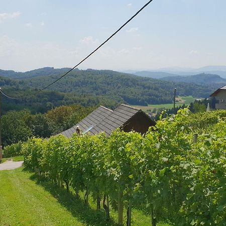Zidanica Meglic - Vineyard Cottage Meglic Trebnje Buitenkant foto
