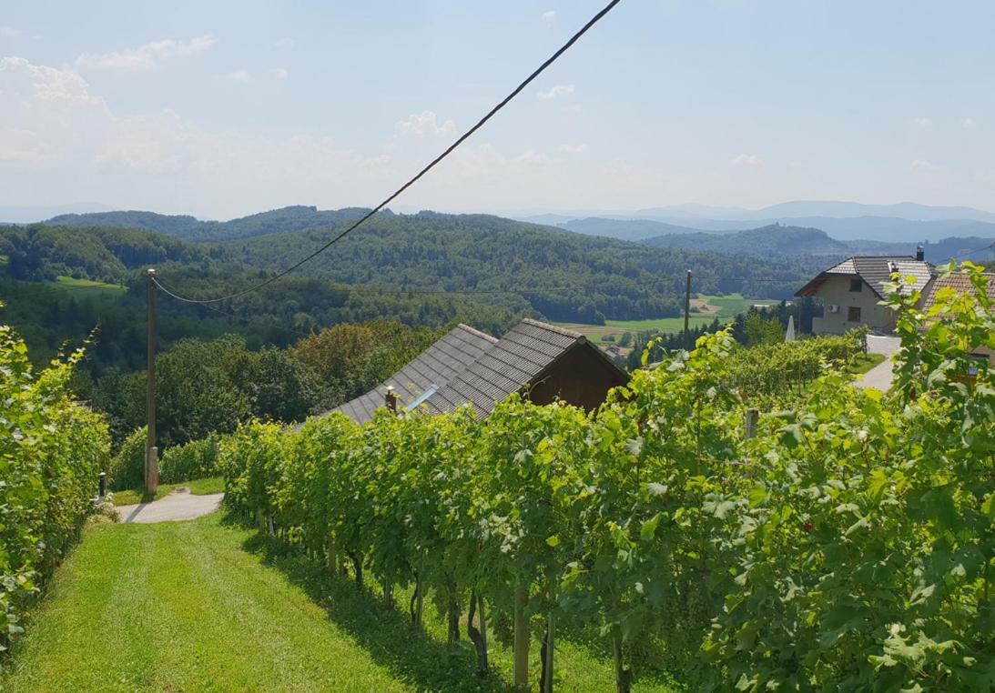 Zidanica Meglic - Vineyard Cottage Meglic Trebnje Buitenkant foto