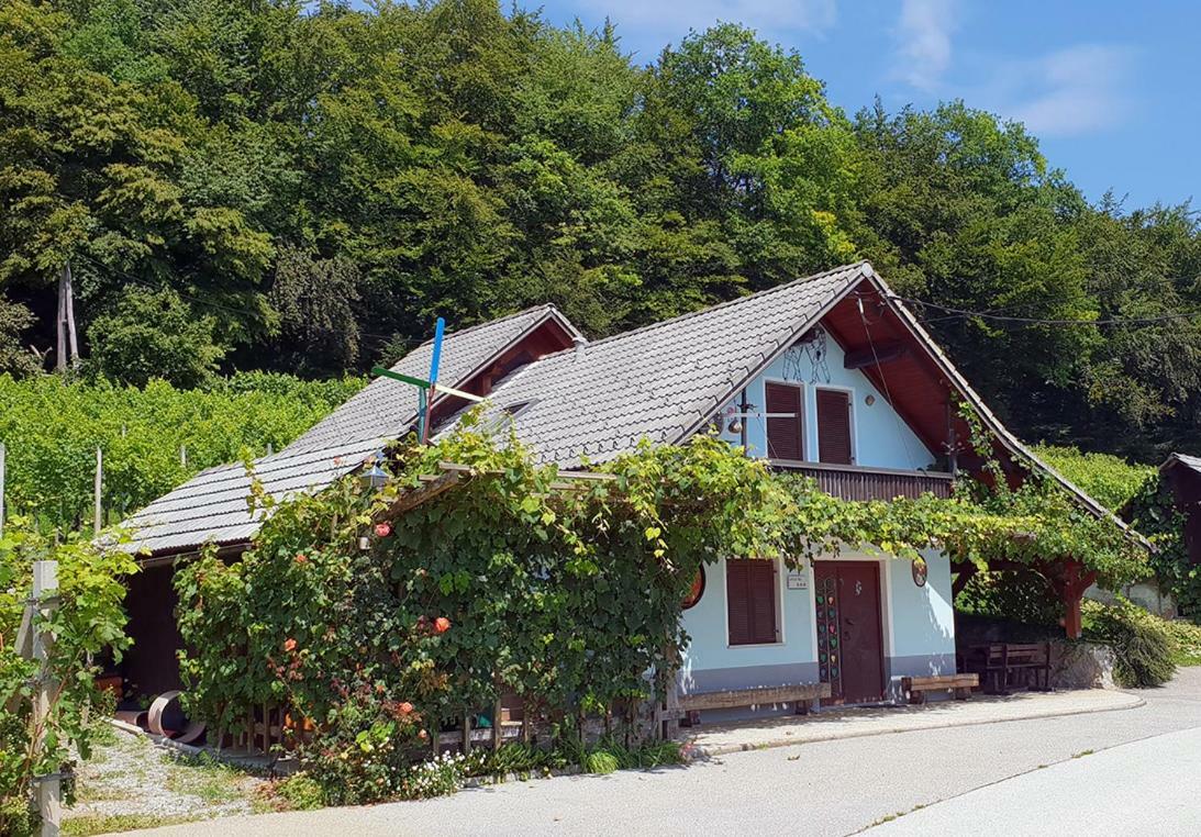 Zidanica Meglic - Vineyard Cottage Meglic Trebnje Buitenkant foto